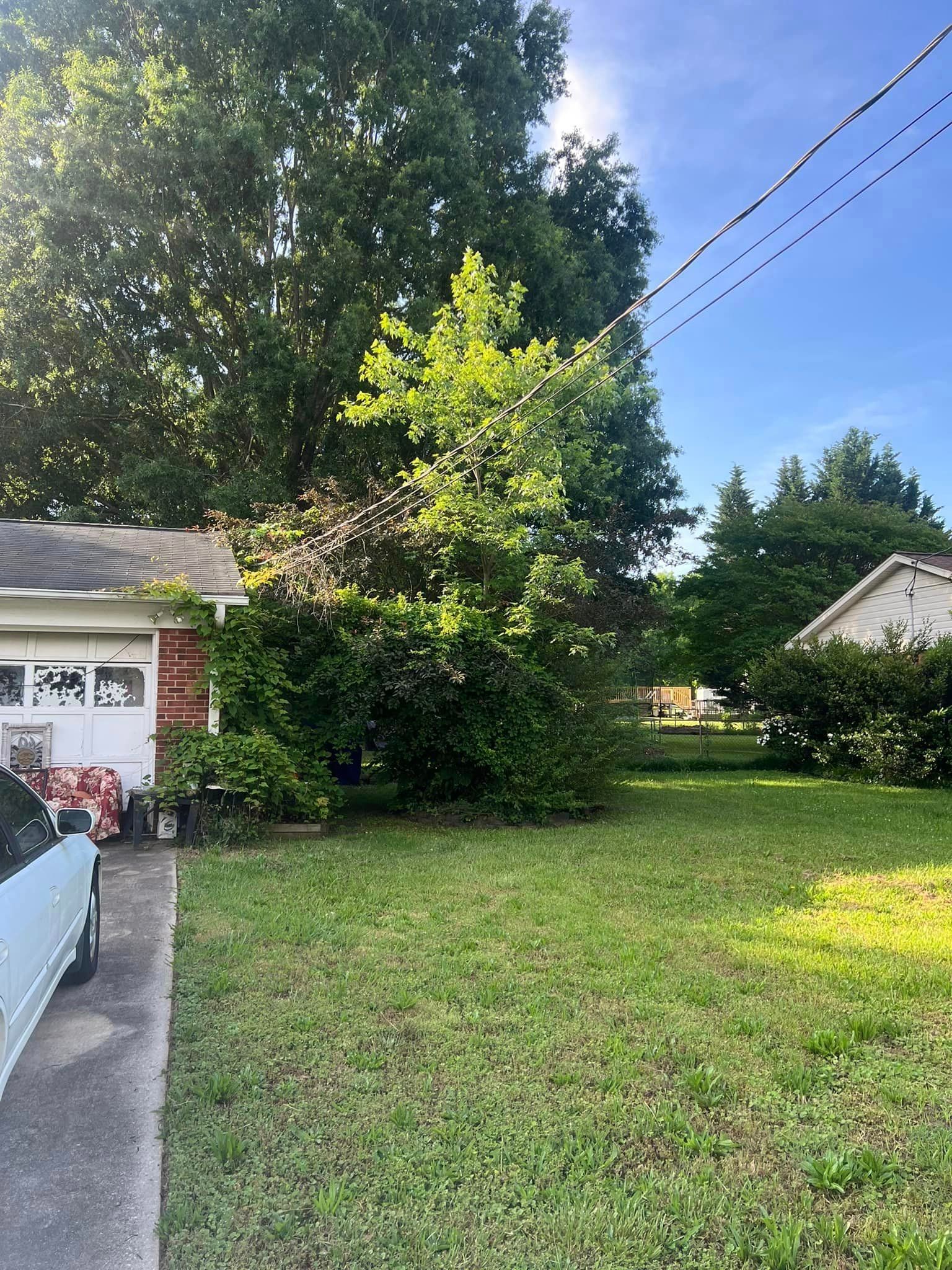 A house with a lawn, trees, and power lines under a blue sky.