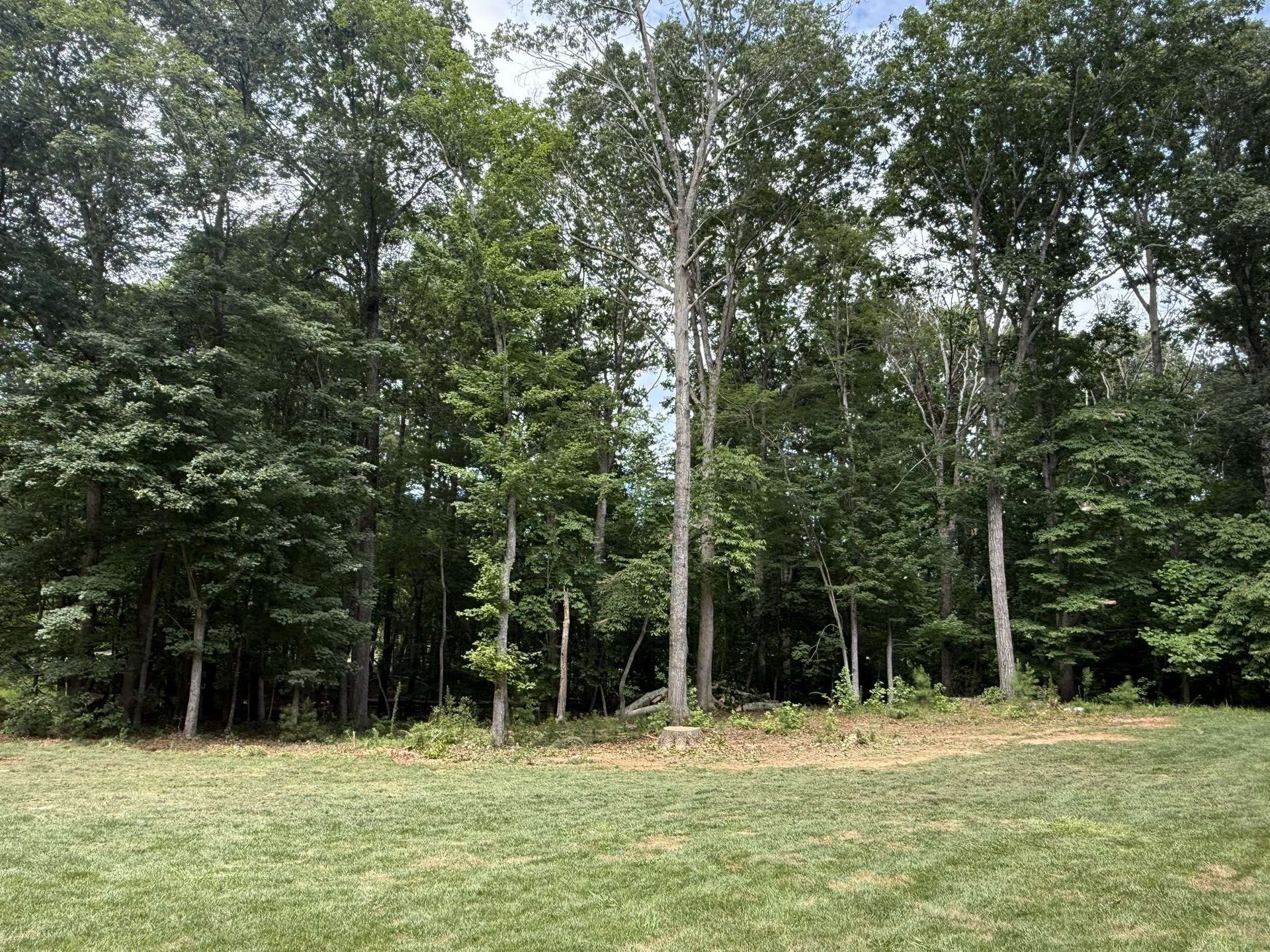 Lush green trees border a grassy yard under a cloudy sky.