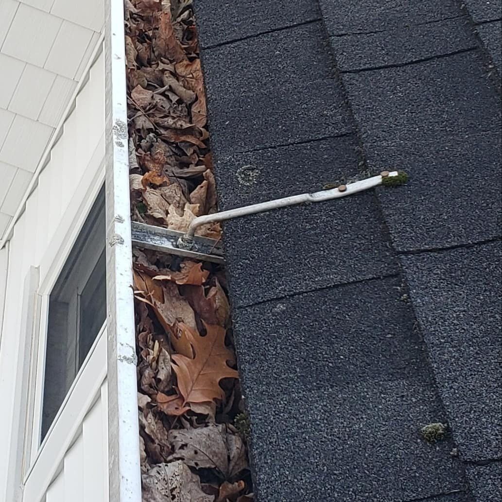 A gutter filled with leaves is sitting on top of a roof.