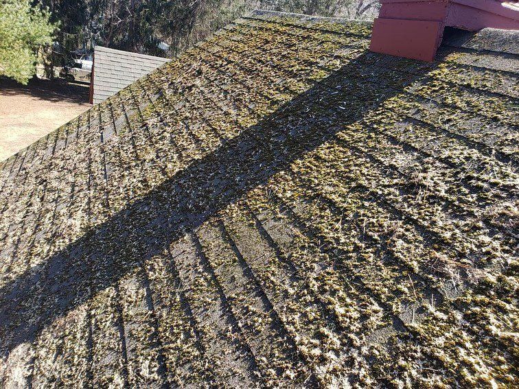 A roof with a lot of moss on it and a chimney in the background.