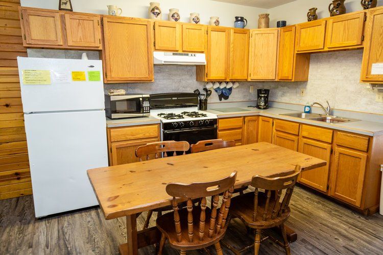 Deer cabin kitchen
