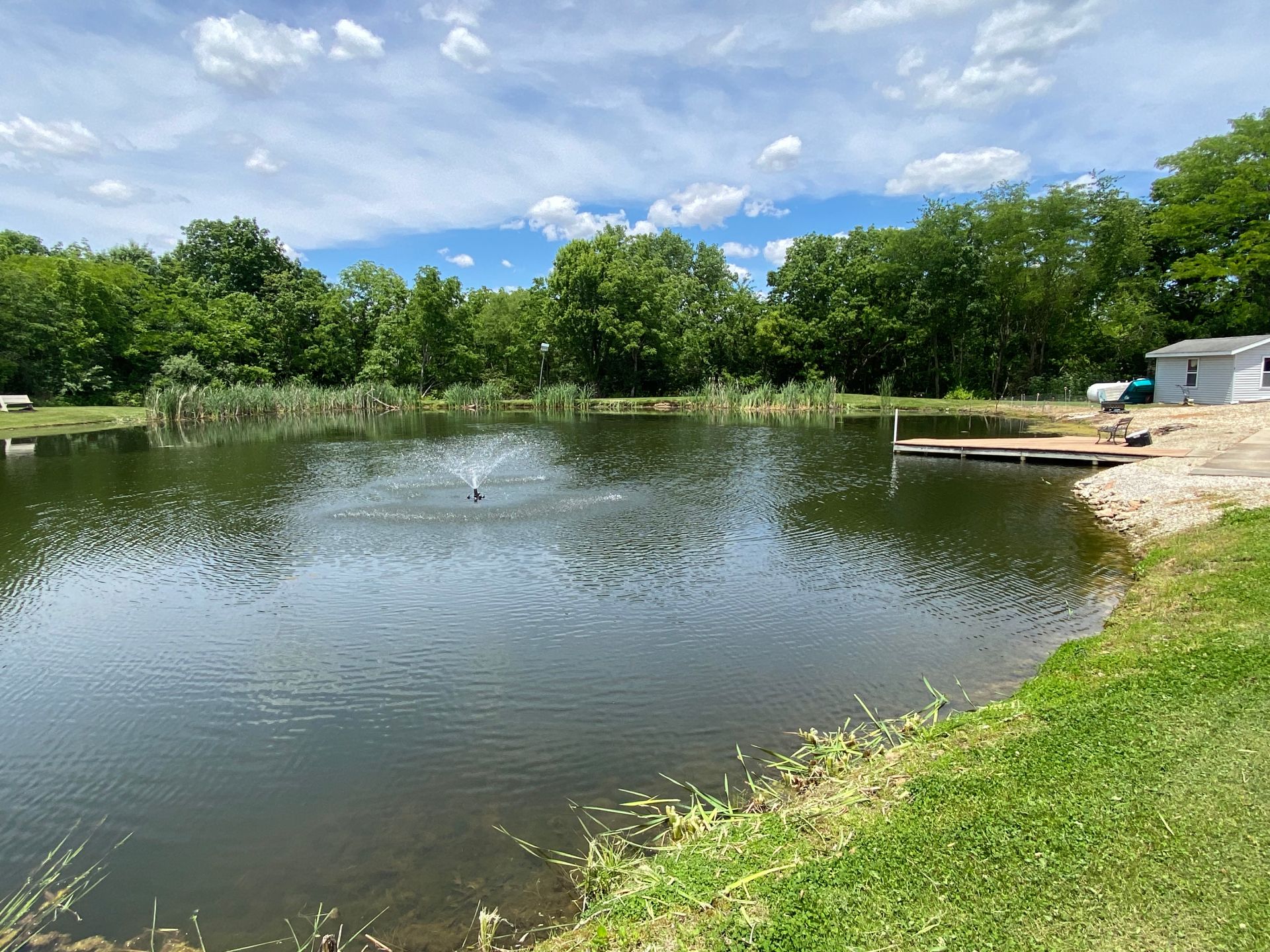 Calm pond bordered by green trees and grass under a blue sky with clouds