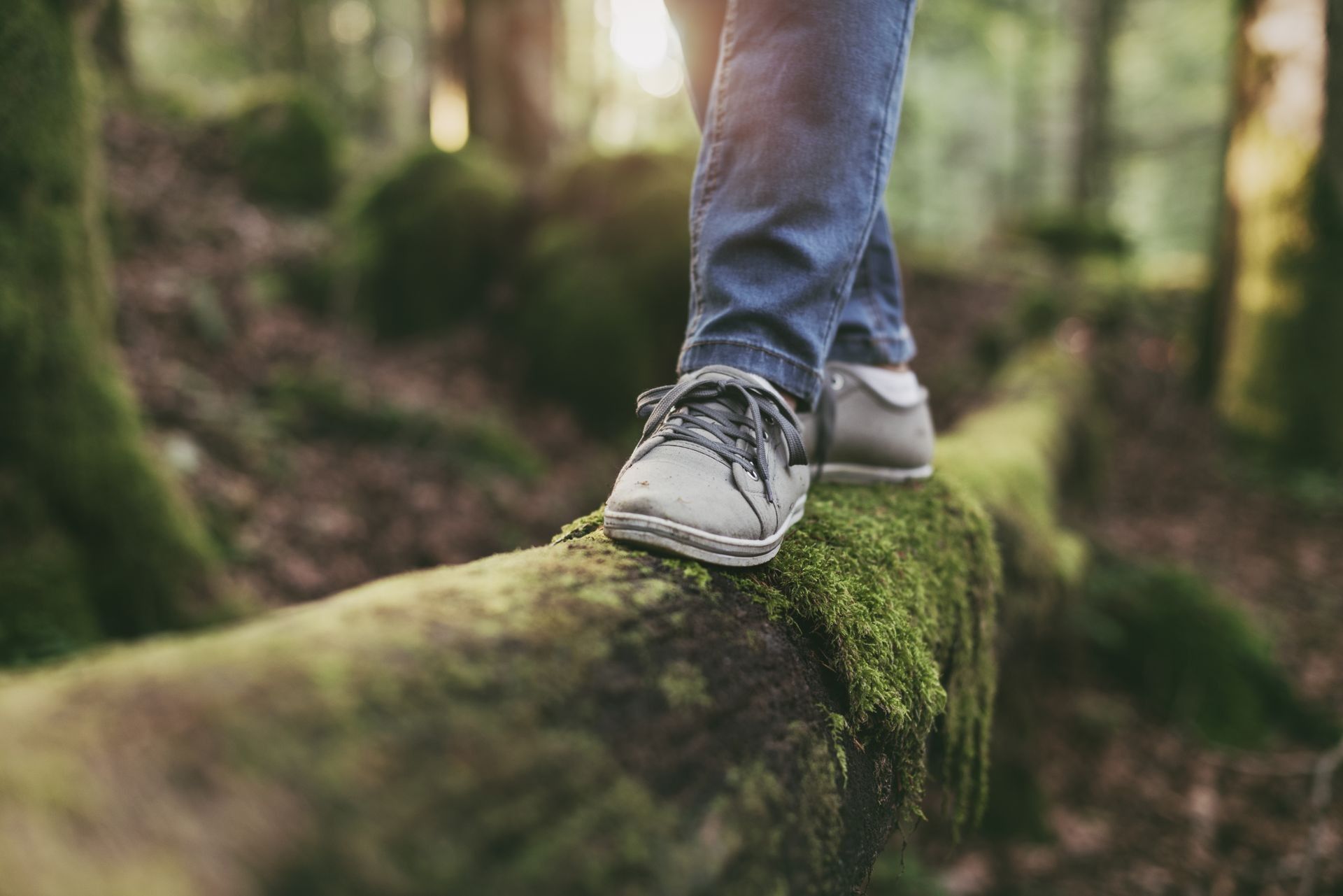 Person walking on a moss-covered log in a forest; wearing blue jeans and grey shoes.