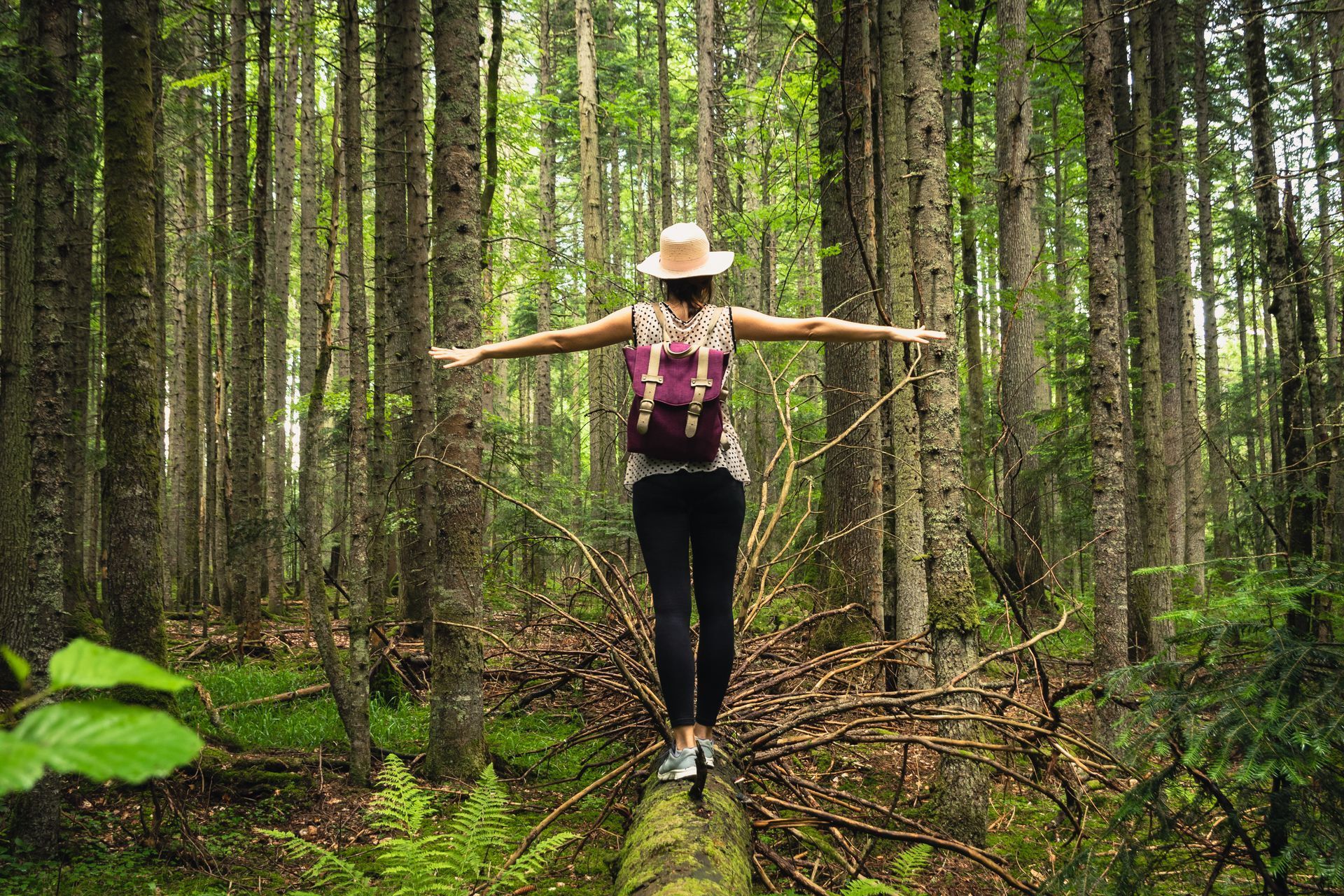 Woman balances on a fallen log in a lush forest, arms outstretched. She wears a hat, backpack, and black pants.