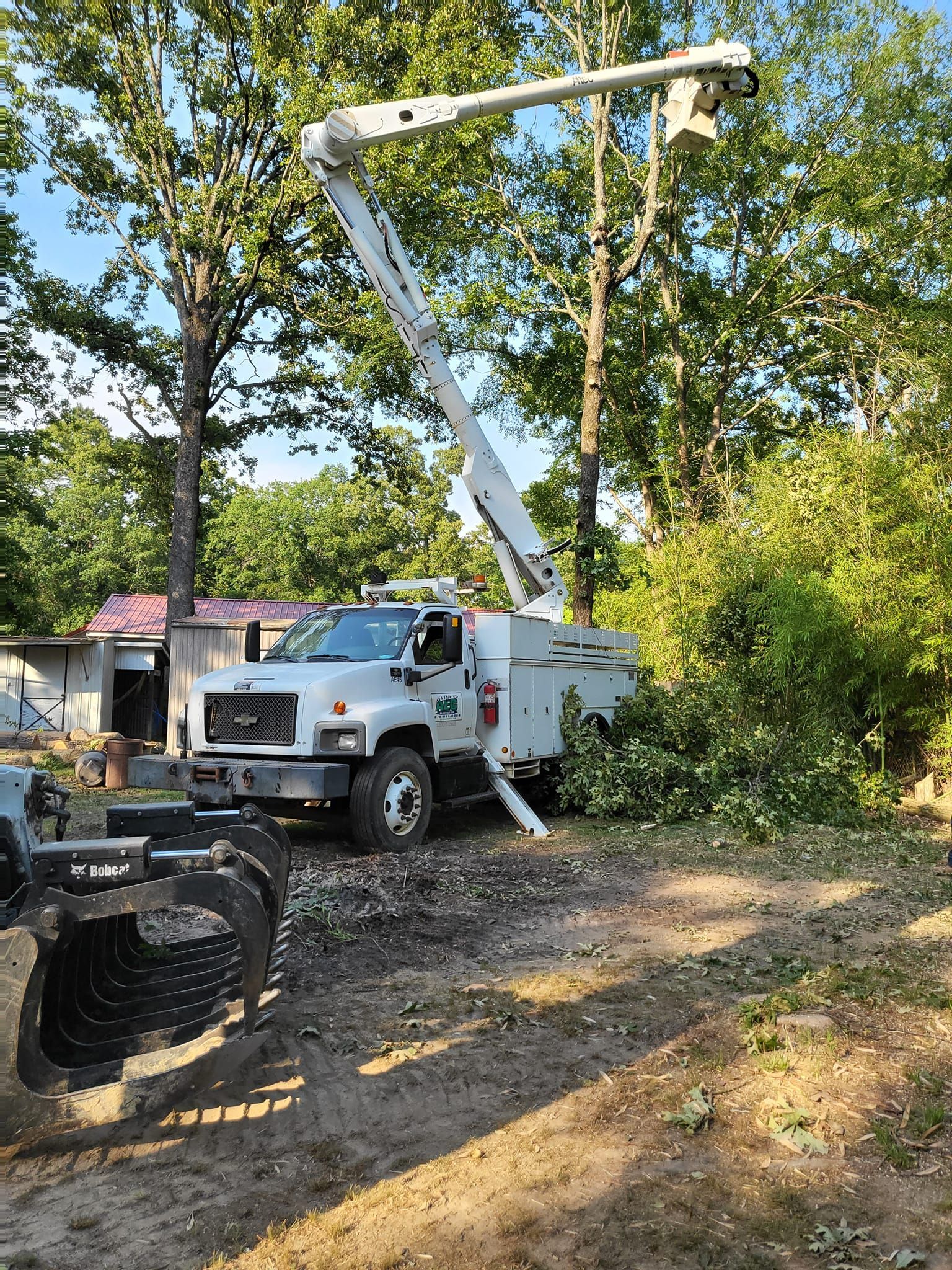 A white truck with a crane on top of it is cutting a tree.