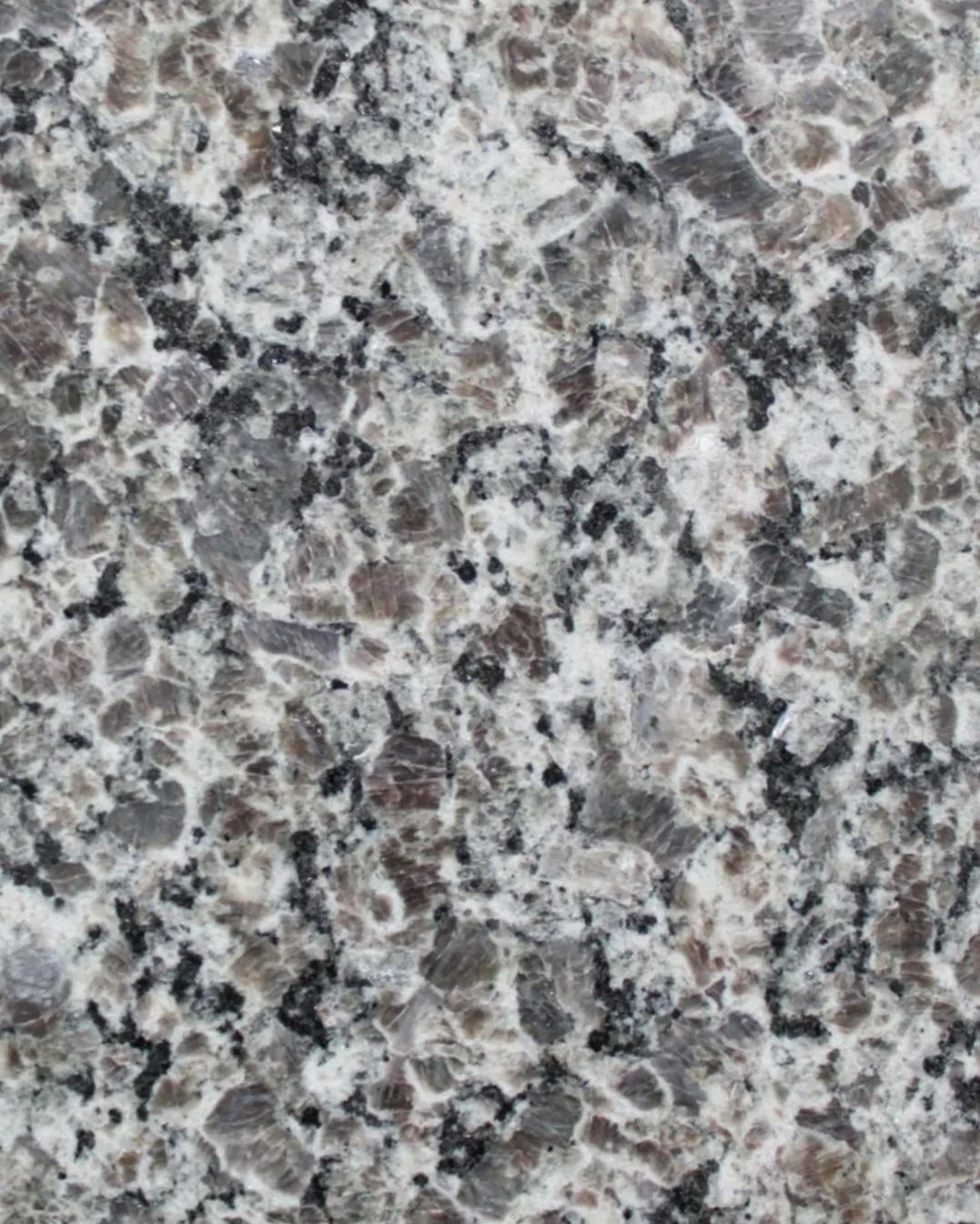 Close-up of granite surface, speckled with white, gray, black, and brown minerals.