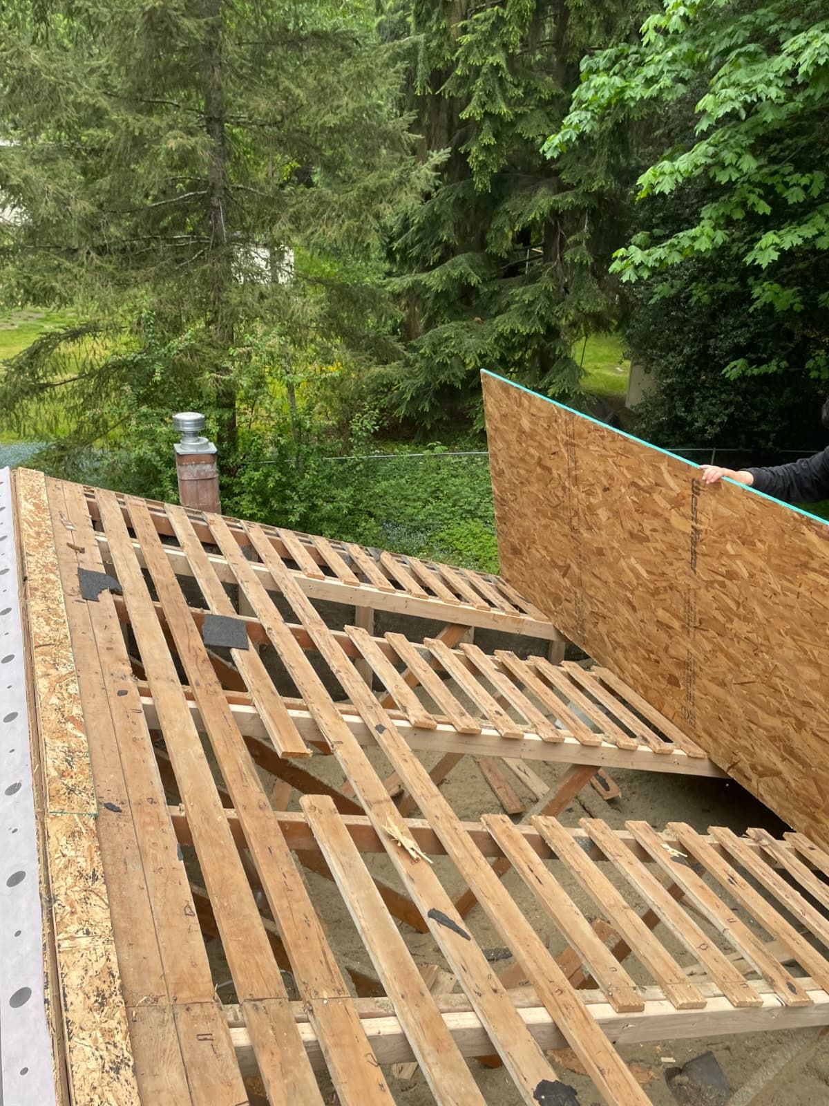 Partially built wooden roof deck with beams and plywood beside a green wooded yard