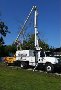 Tree service panama city fl