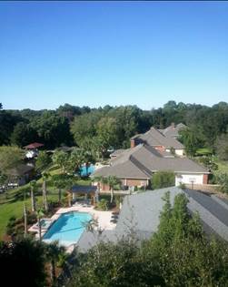 Tree service panama city fl