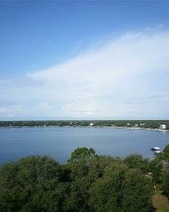 Tree service panama city fl