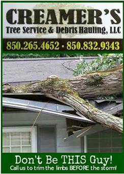 Tree service panama city beach fl