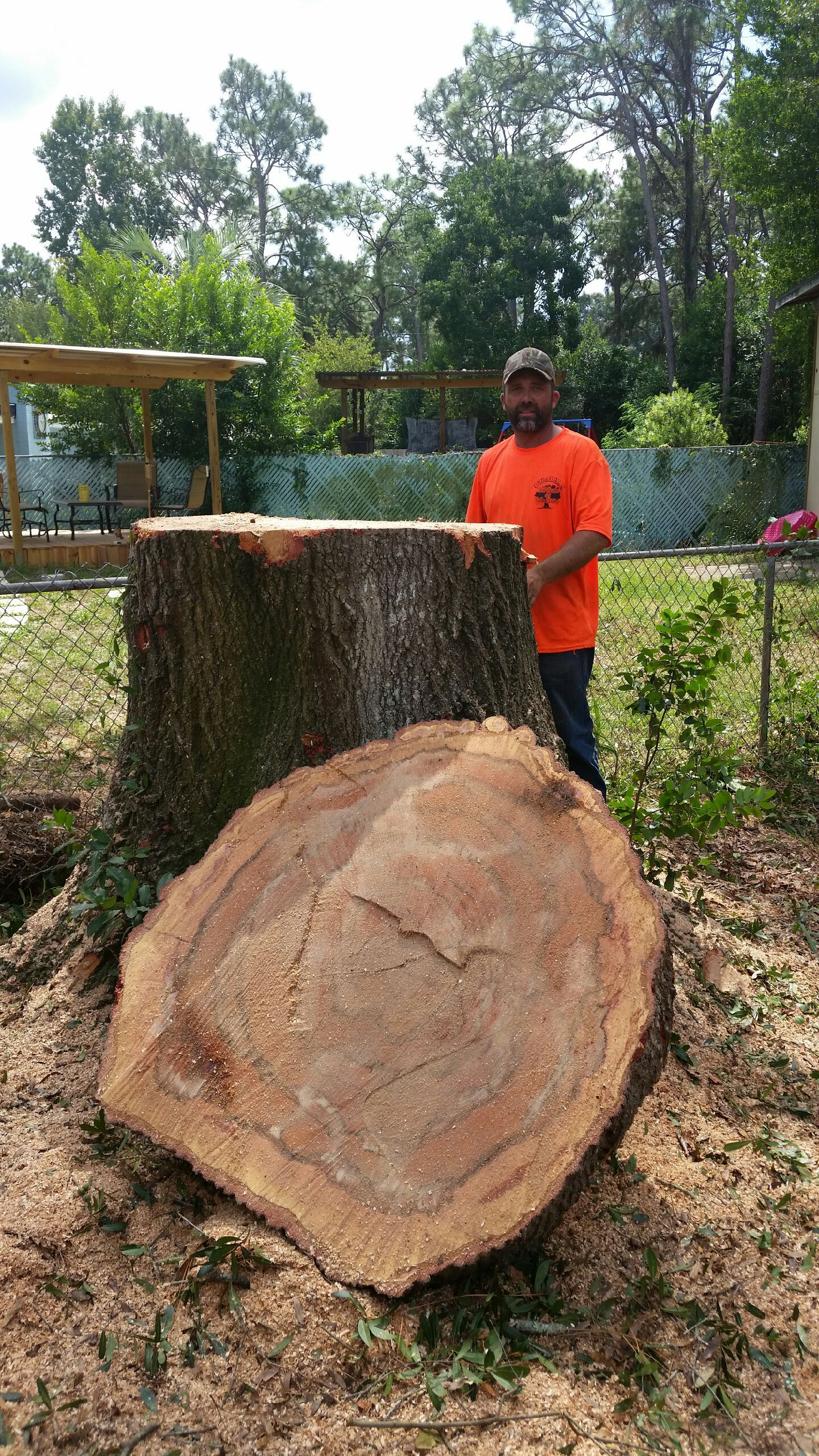 Tree - Panama City, FL
