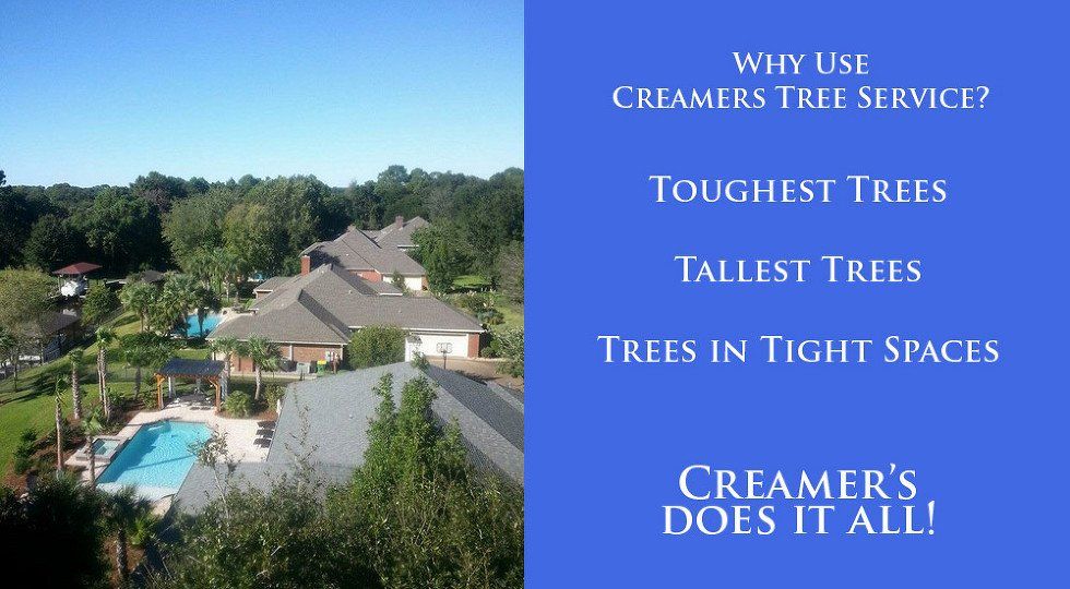 Creamer's-Tree-Service-Slide