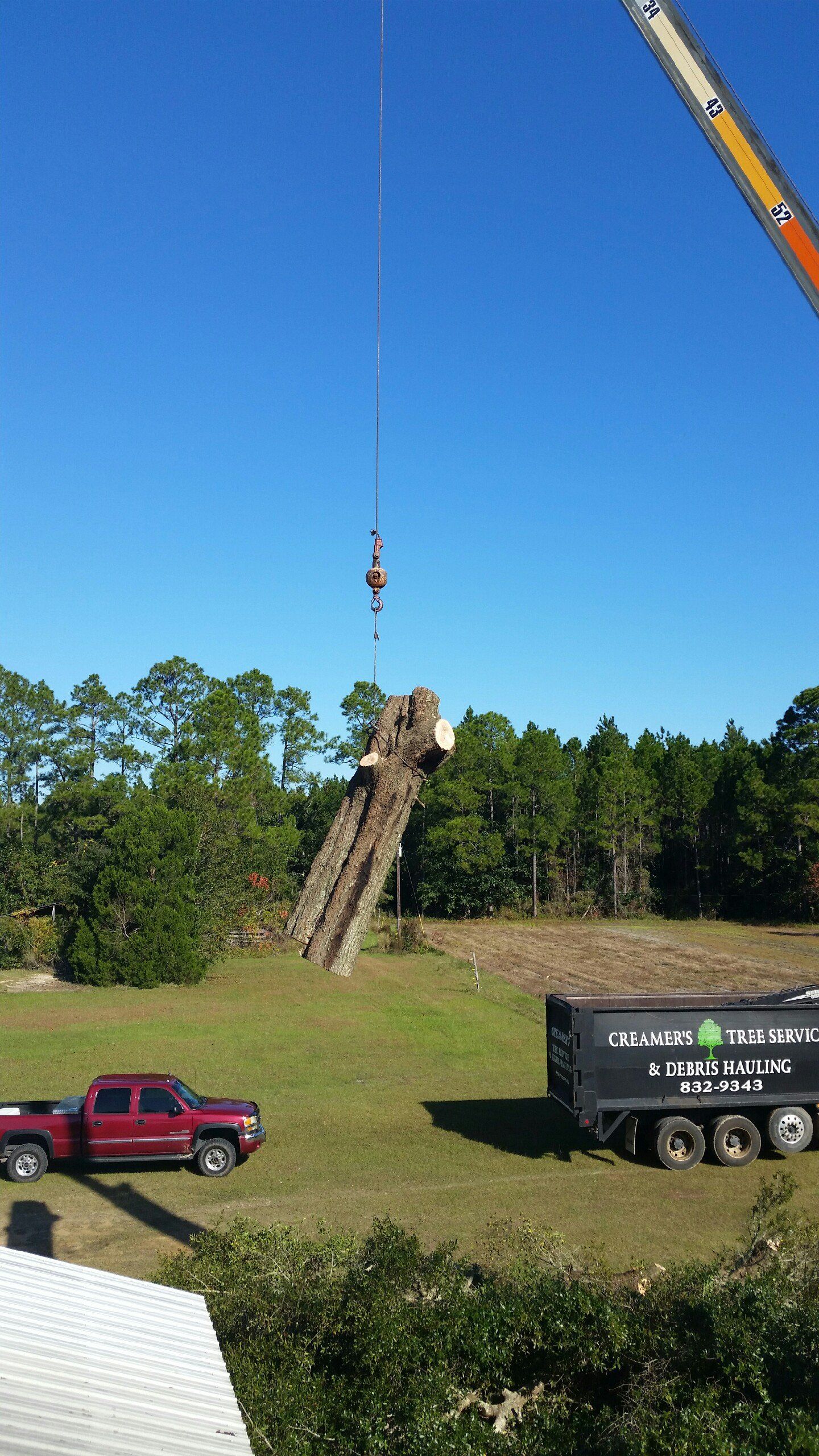 Tree service panama city fl