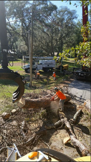 Tree Service  - Panama City, FL