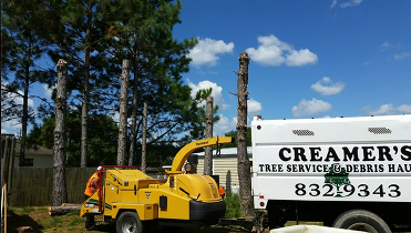 Tree Service Panama City, FL
