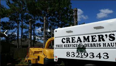 Tree Service Panama City, FL