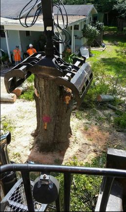 Tree Service Panama City, FL