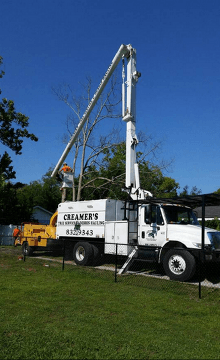 Tree Service Panama City, FL