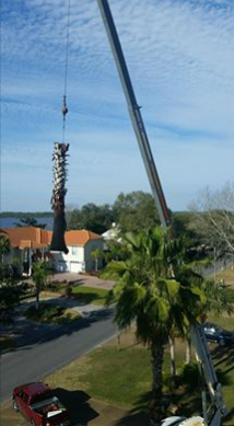 Tree Removal Panama City, FL