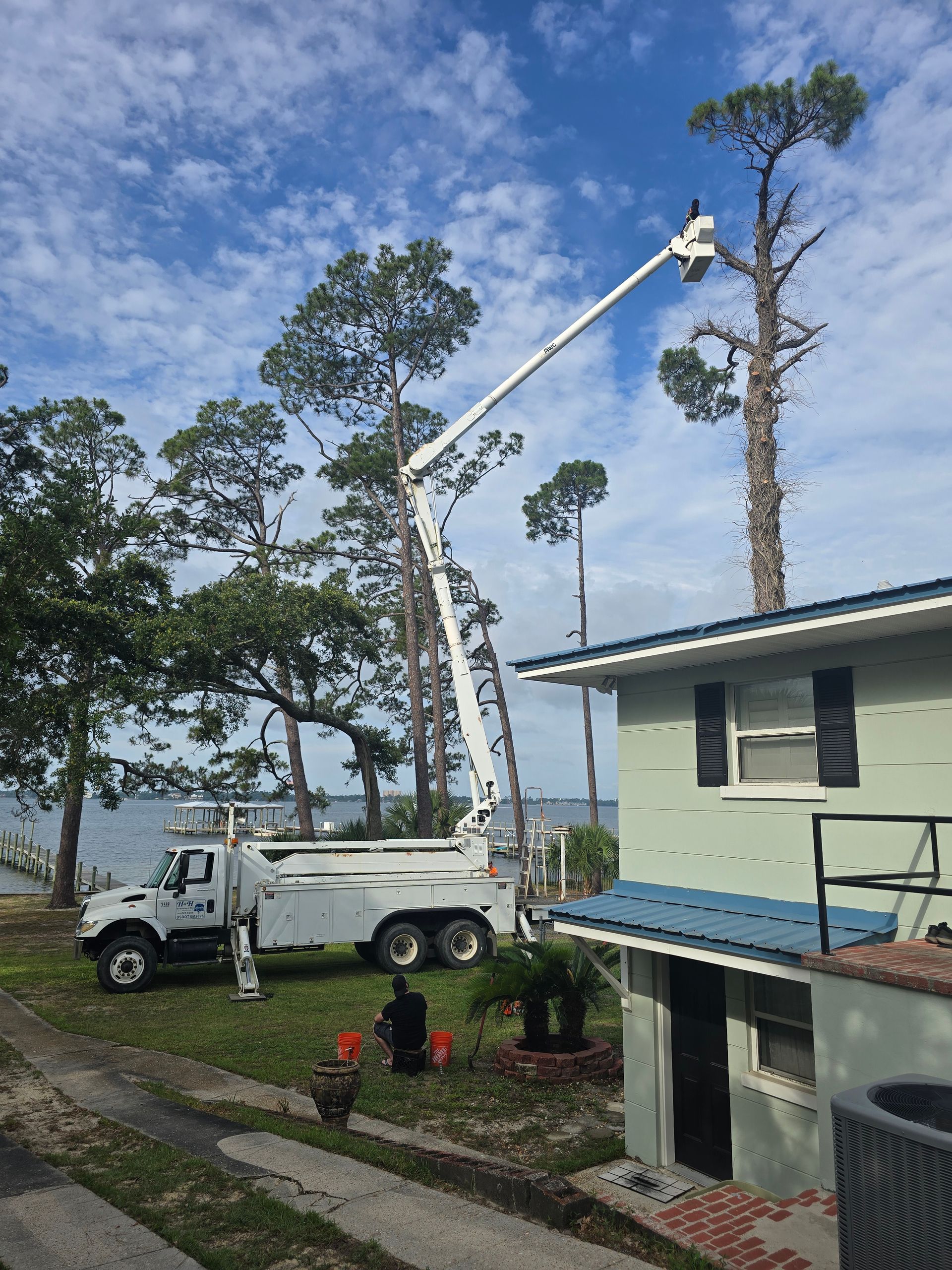 A white truck with a crane attached to it is cutting a tree in front of a house.