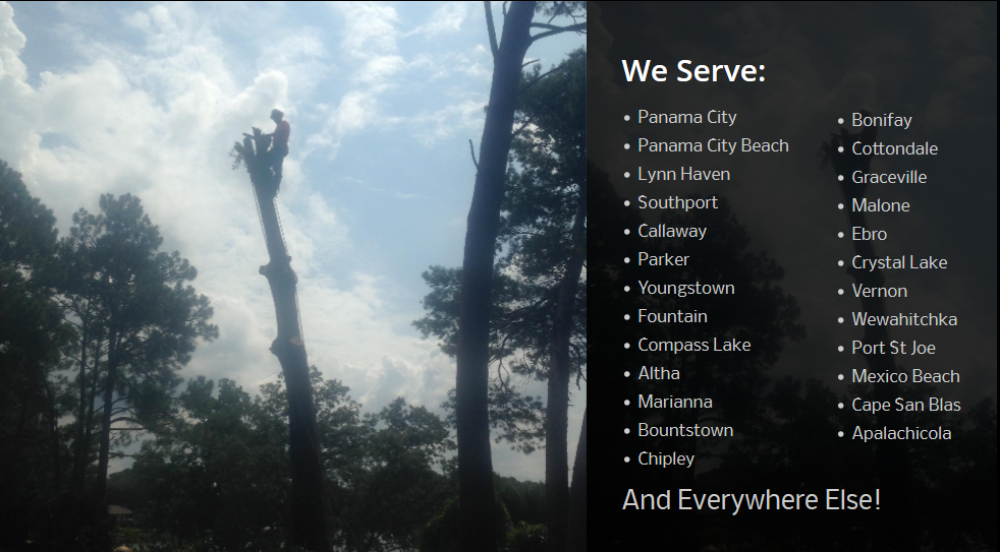 Tree Servers area