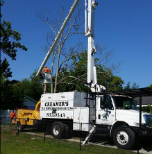 Tree Service Panama City, FL