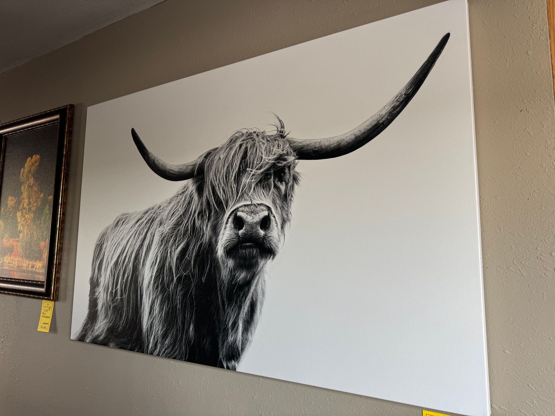 Black and white print of a Highland cow with large horns.