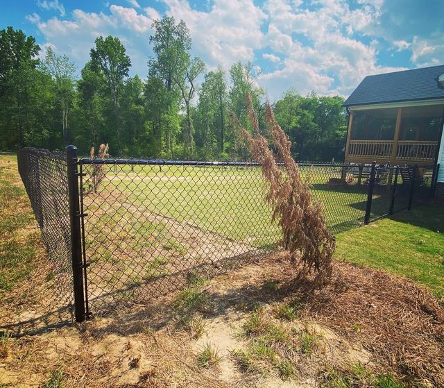 A chain link fence with a tree growing out of it in front of a house.