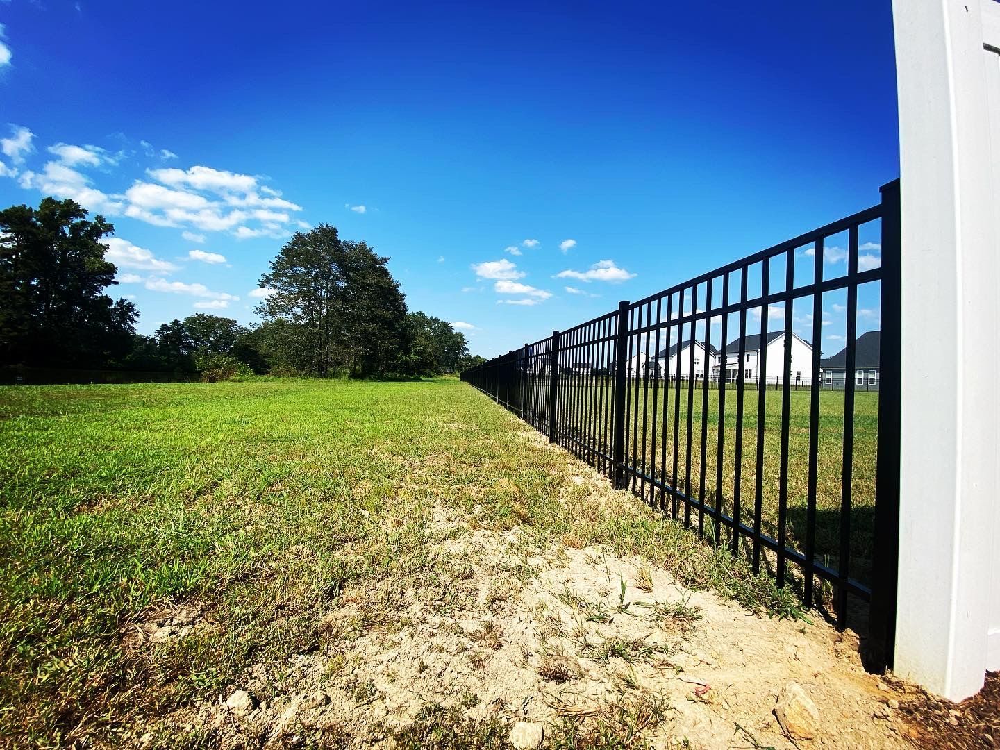 A black metal fence surrounds a grassy field.