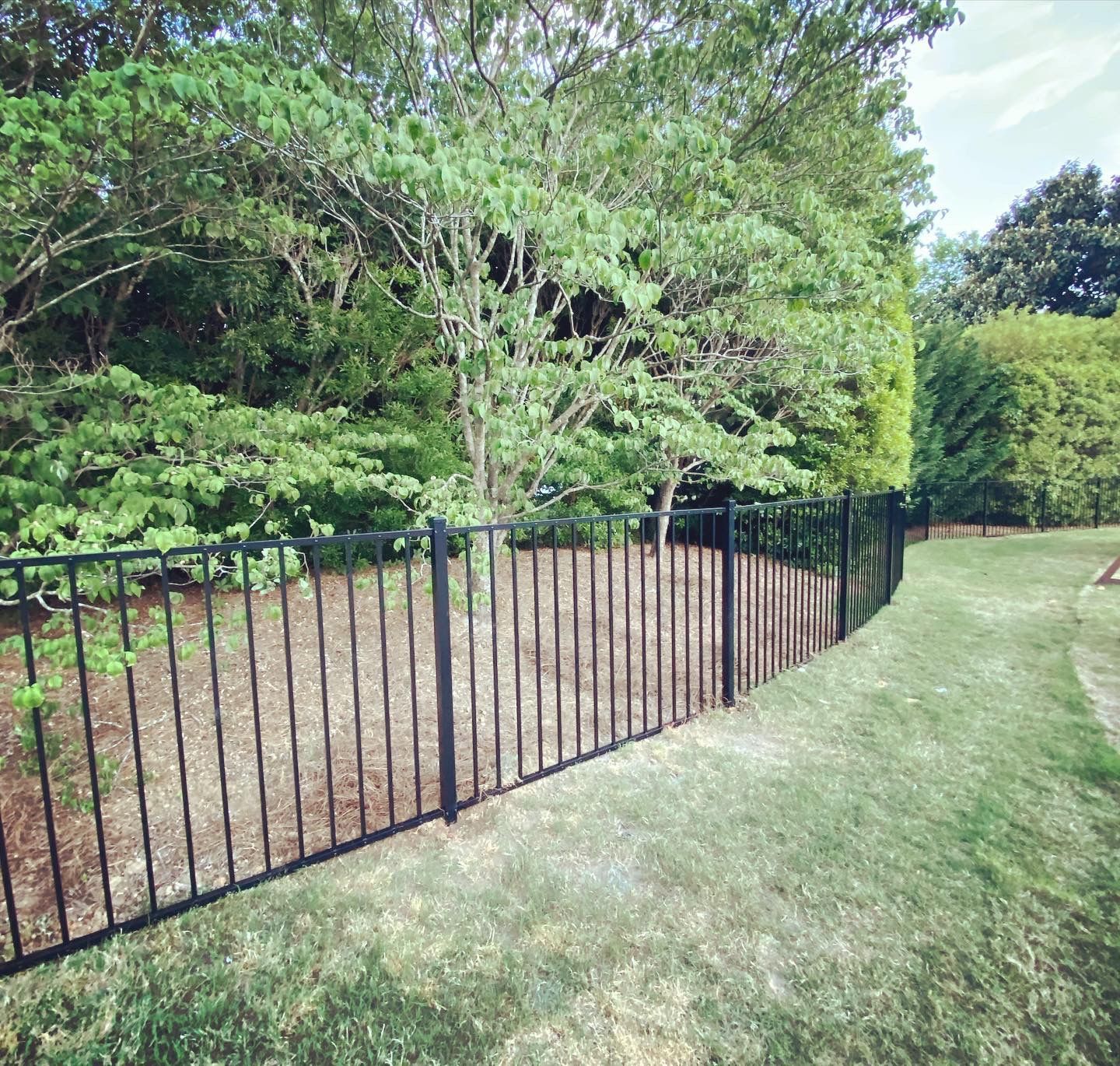 A black metal fence surrounds a grassy area with trees in the background.