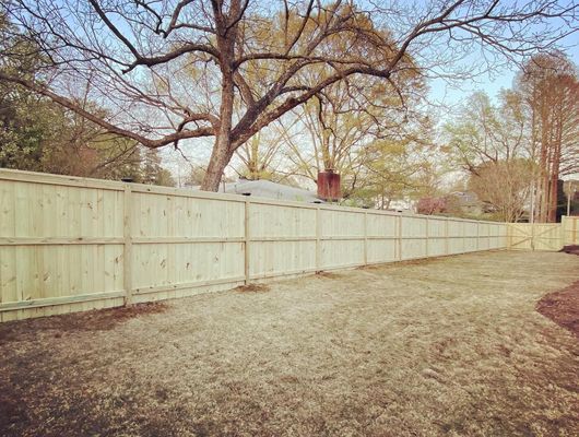 A wooden fence surrounds a dirt yard with trees in the background.