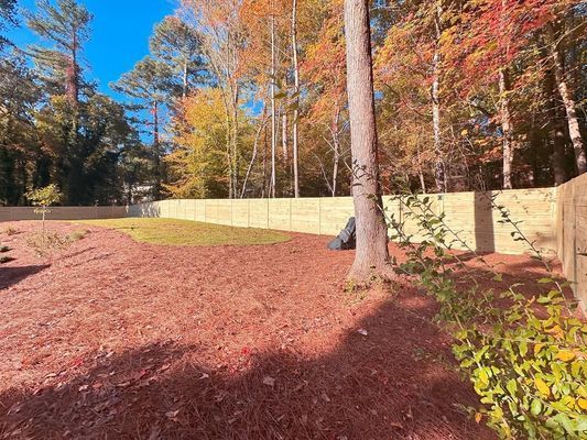 A backyard with a wooden fence and trees in the background