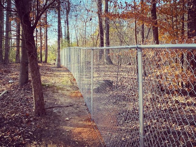A chain link fence surrounds a path in the woods.