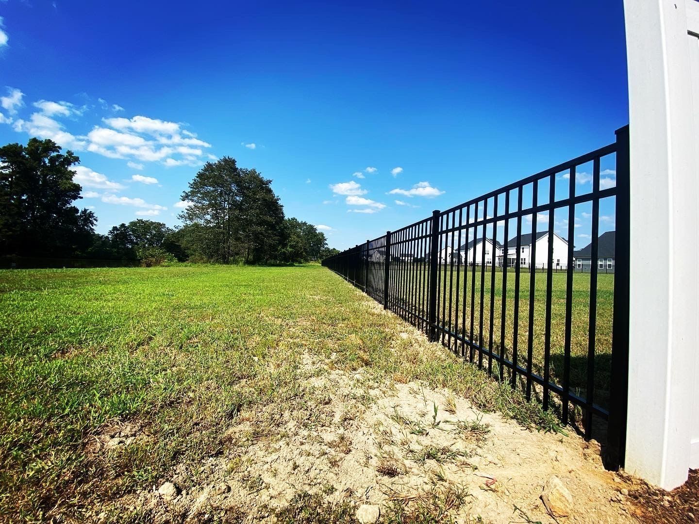 A black metal fence surrounds a grassy field.
