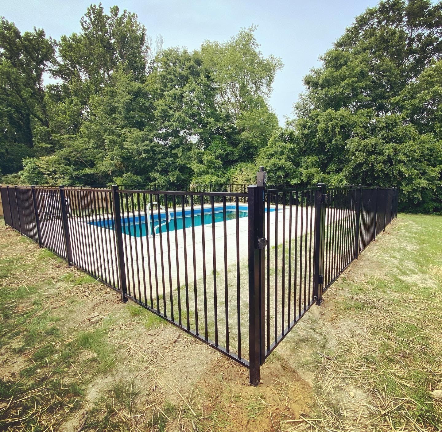 A black metal fence surrounds a swimming pool in a backyard.