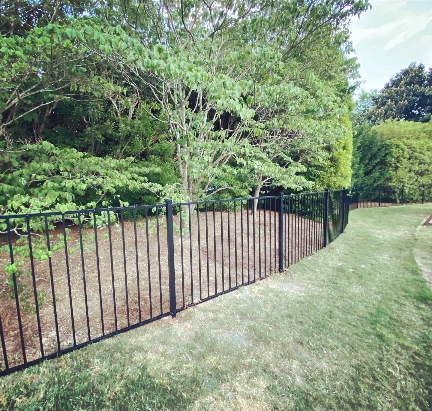 A black metal fence surrounds a grassy area with trees in the background.