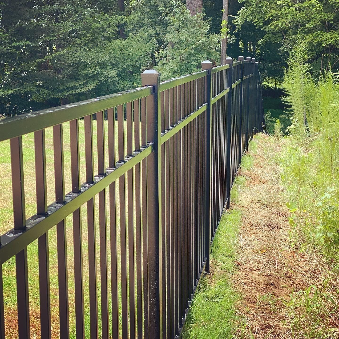 A metal fence surrounds a grassy area with trees in the background.