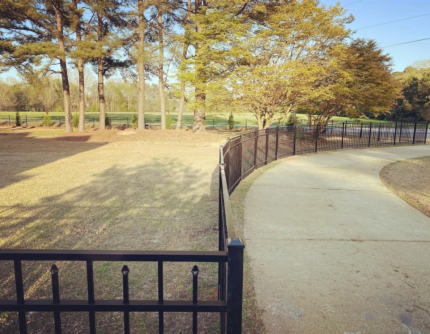 A fence surrounds a path in a park with trees in the background.