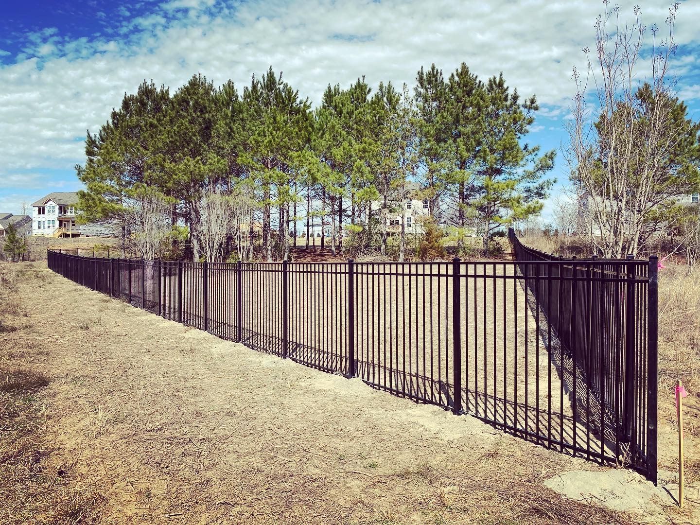 A black metal fence surrounds a dirt field with trees in the background.