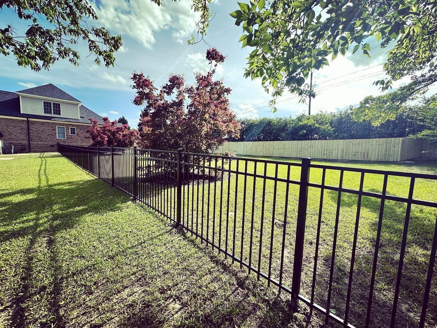 A black metal fence surrounds a lush green yard.