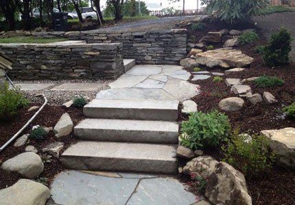 Landscape and walkway