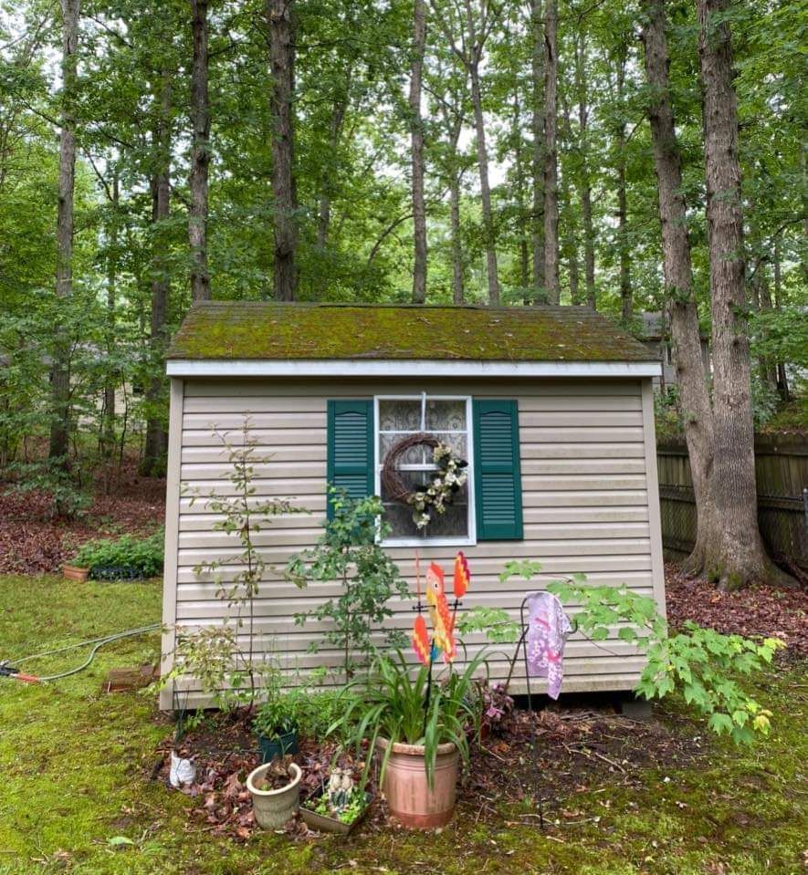 a shed with a window and green shutters is surrounded by trees