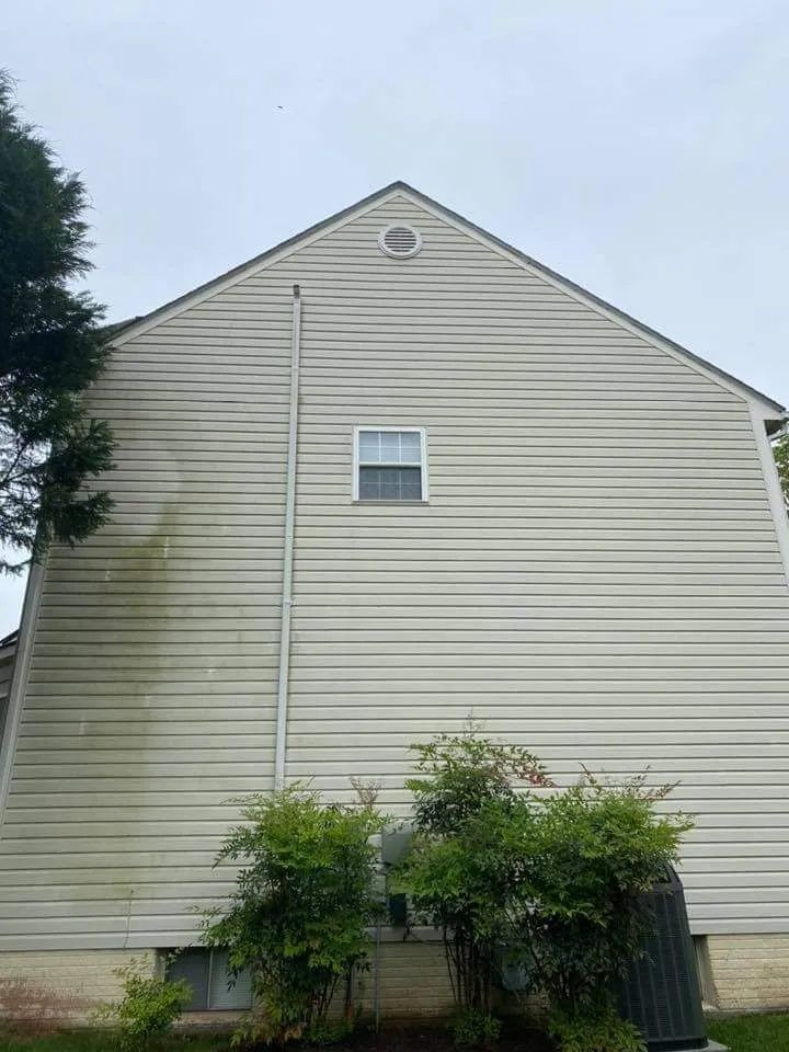 the back of a house with a window and a tree in front of it