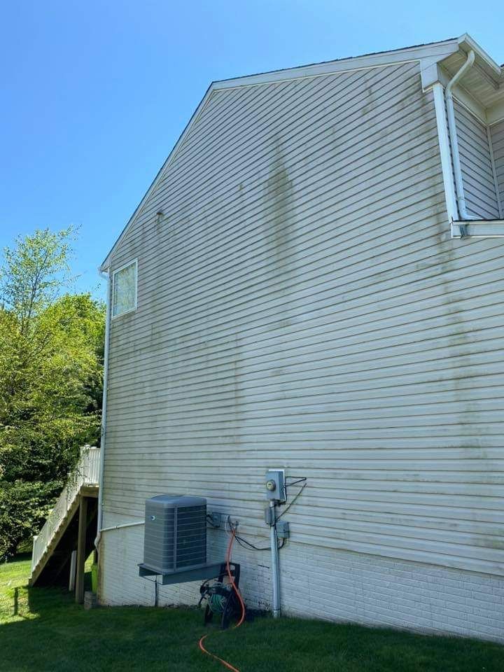 the side of a house with a lot of green algae on it