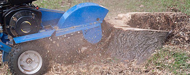 Stump Grinding