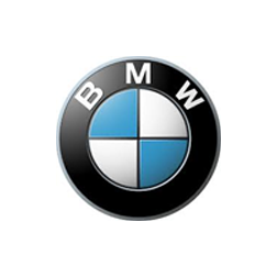 BMW logo with black circle, blue-and-white center, and silver lettering