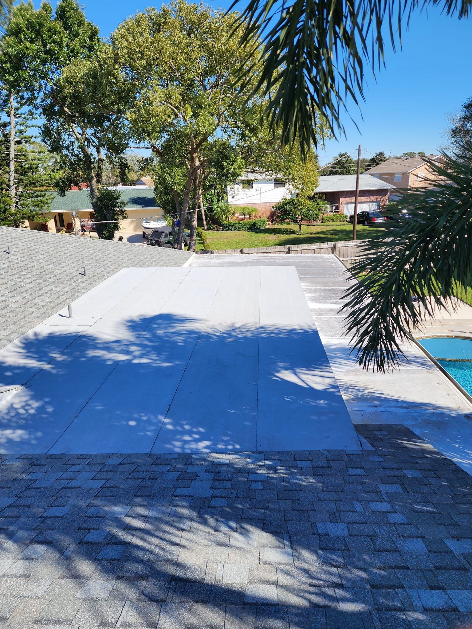 There is a swimming pool in the background and a lot of trees in the background.