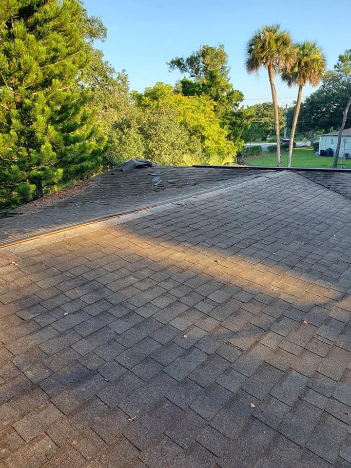 The roof of a house with palm trees in the background.
