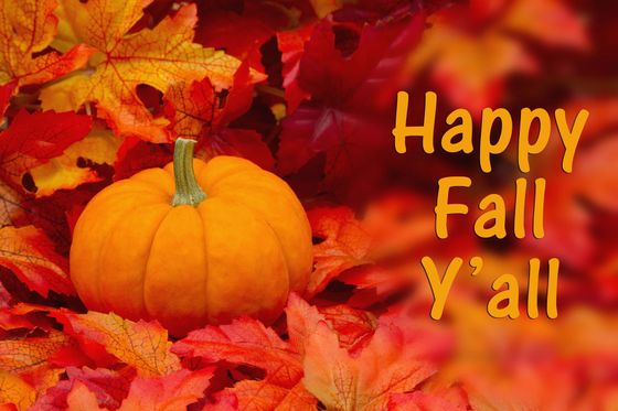 Orange pumpkin on fall leaves with “Happy Fall Y’all” text